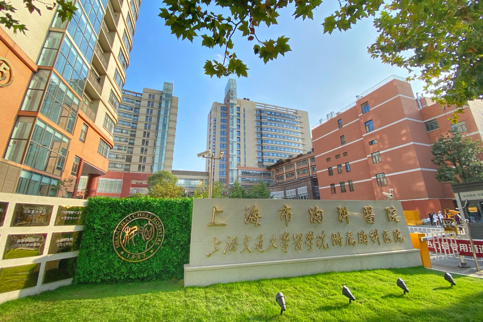 大众医学官方网站
